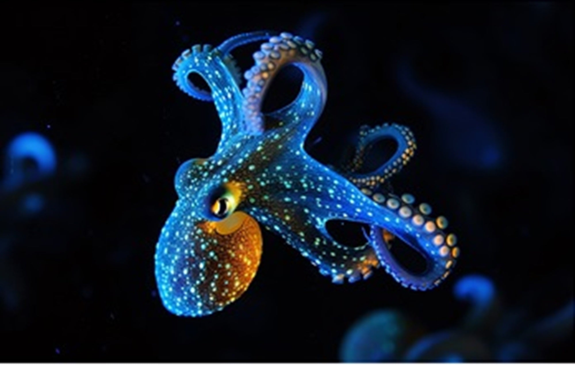 Octopus Fa Ric Panel Large Blue Octopus Fabric Panel - OCE-065 – Focus on Fabric