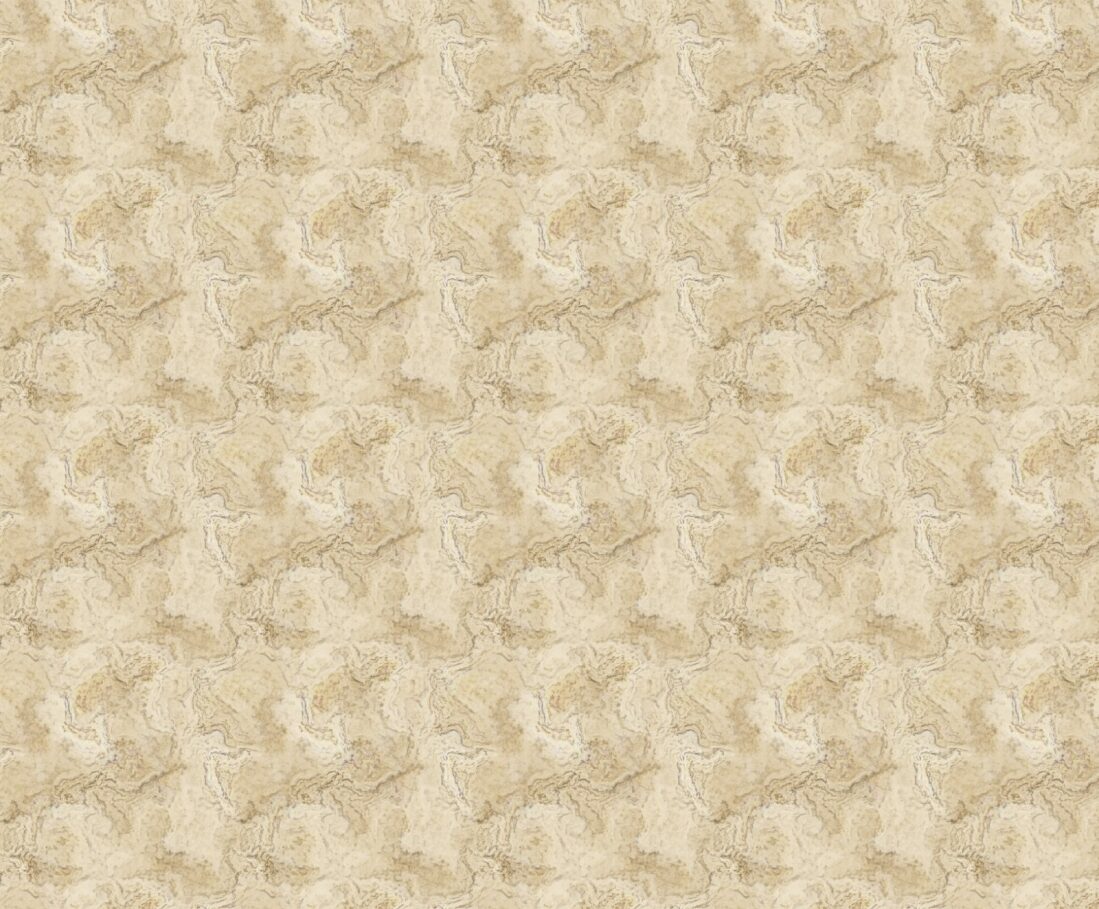 Tan Stone Fabric - FOFY-024 - Focus on Fabric Yardage