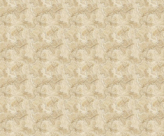 Tan Stone Fabric - FOFY-024 - Focus on Fabric Yardage