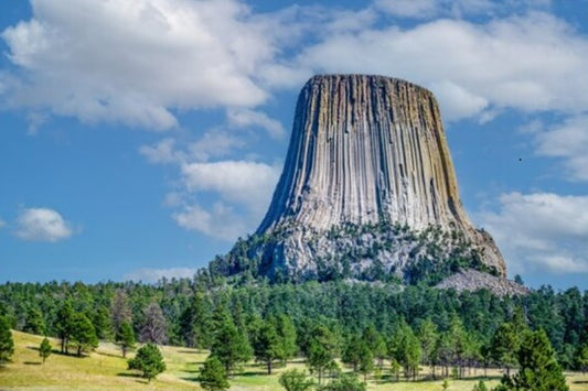 Devils Tower National Monument Fabric Panel - NPW-007C
