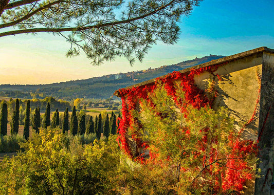Tuscan Winery Fabric Panel - SAP-010