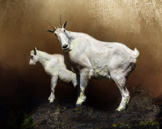 Mom and Baby Mountain Goat Fabric Panel - ANW-035