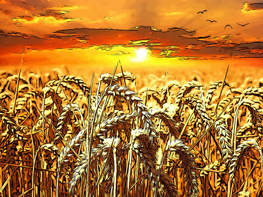Wheat Harvest Sunset Fabric Panel - FAR-006