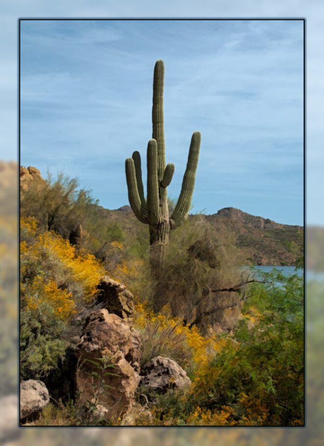 Saguaro Lake Fabric Panel - DCS-013