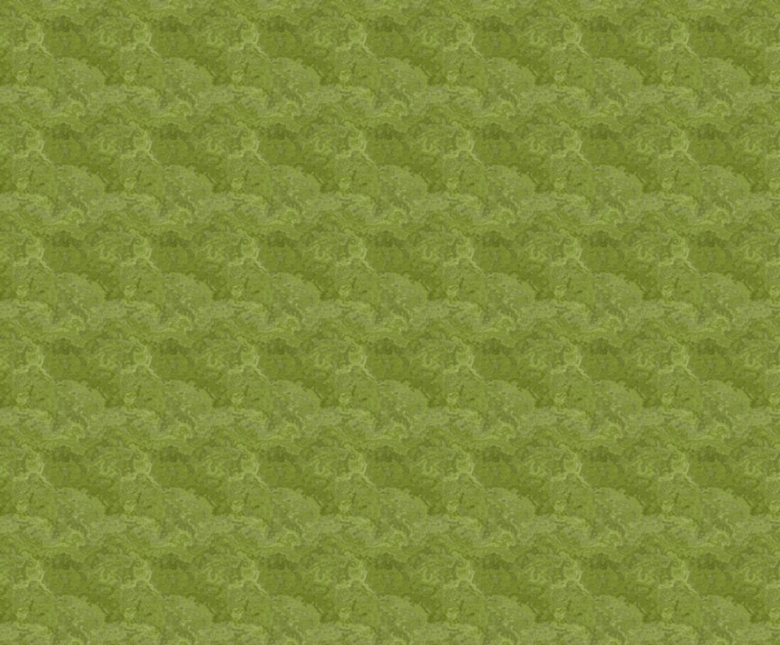 Southwest Green Fabric - FOFY-007 - Focus on Fabric Yardage