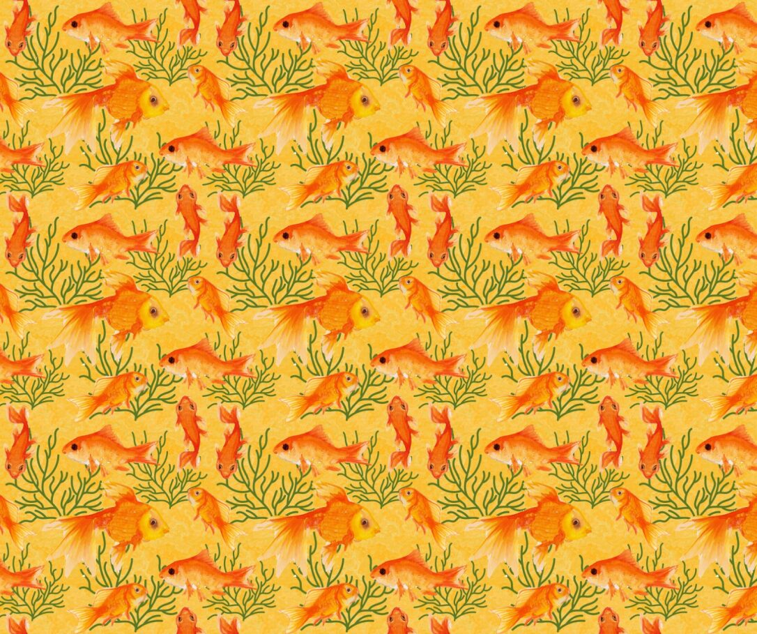 Goldfish Fabric - FOFY-027 - Focus on Fabric Yardage