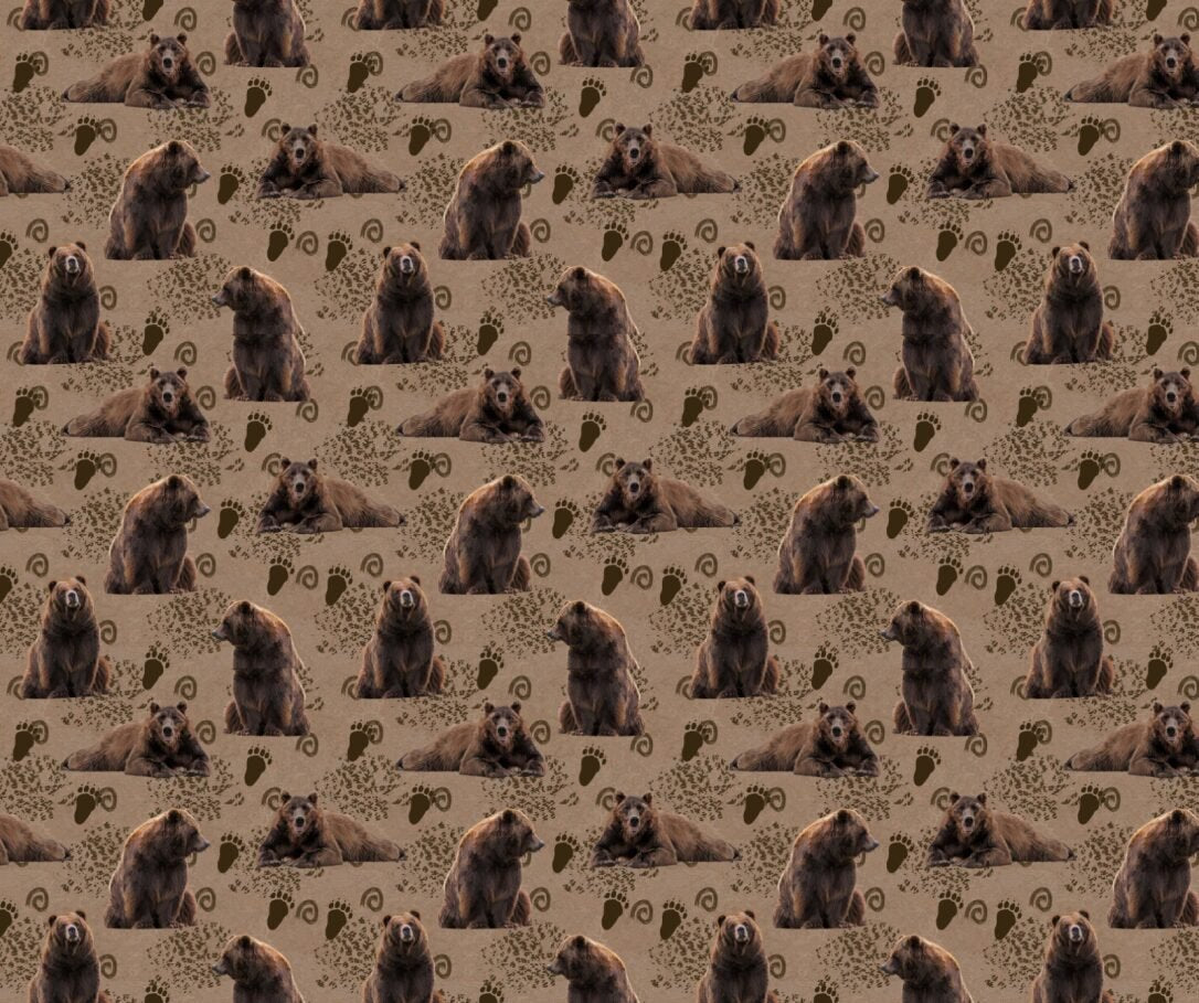 Grizzly Bear Fabric - FOFY-012 - Focus on Fabric Yardage