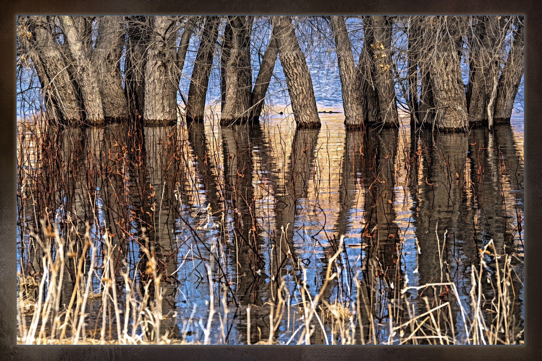 Spring Lake Panel Willow Lake Reflection Fabric Panel - SAZ-009C – Focus on Fabric