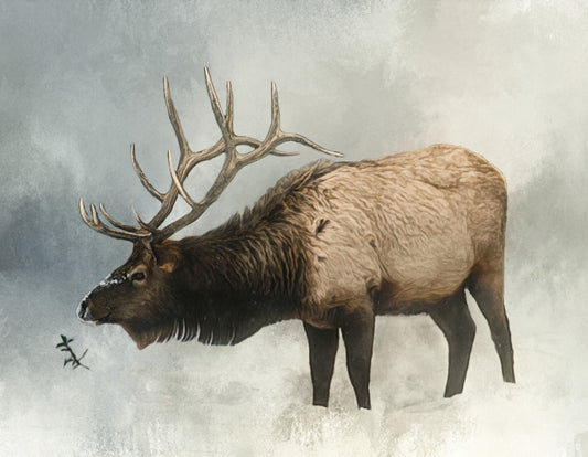 Bull Elk in Winter Fabric Panel - ANW-008